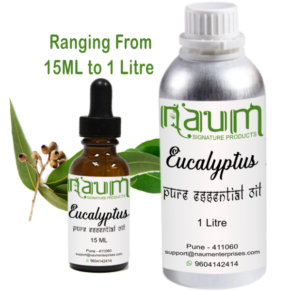 Euculyptus  Essential Oil