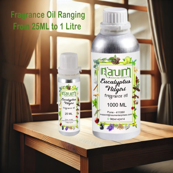 Eucalyptus Nilgiri Fragrance Oil