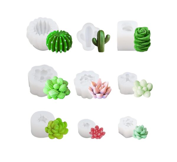Nine Pack Succulent Mold